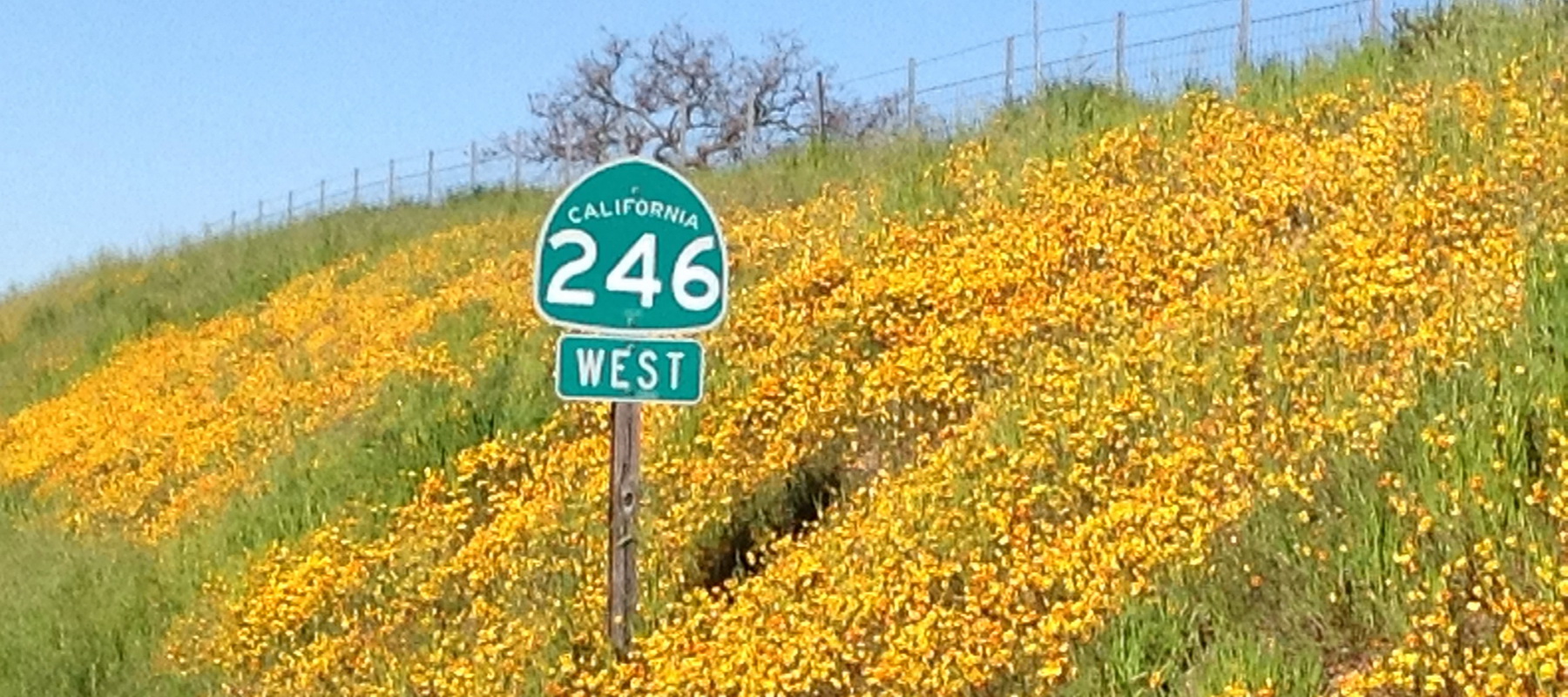 Santa Ynez Scenic 5