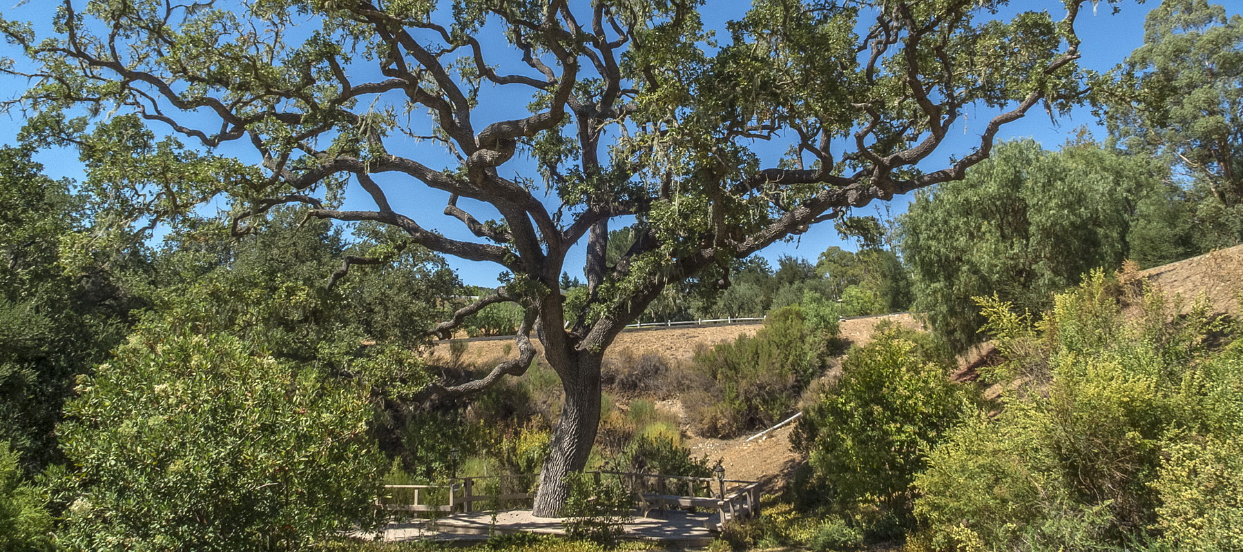 Santa Ynez Scenic 6