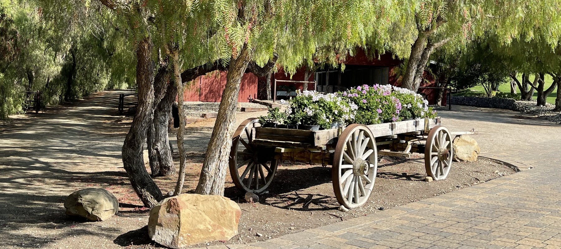 Santa Ynez Scenic 12