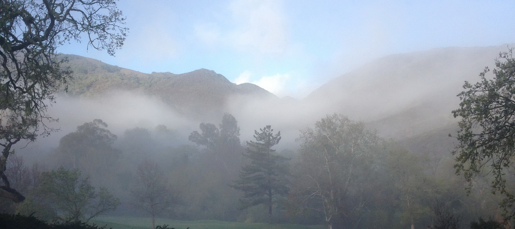 Santa Ynez Scenic 13